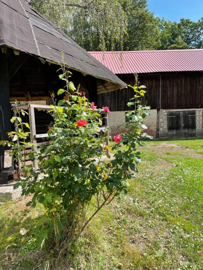 דירות Nidda Schellnhof Forsthaus Am Waldrand מראה חיצוני תמונה
